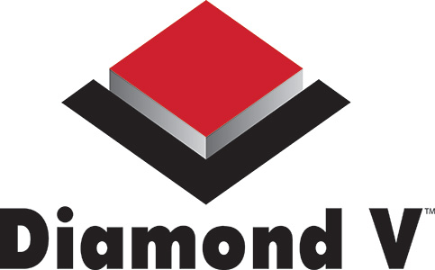 Diamond-V logo