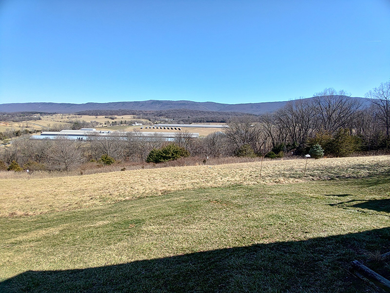 The Bruce Farm