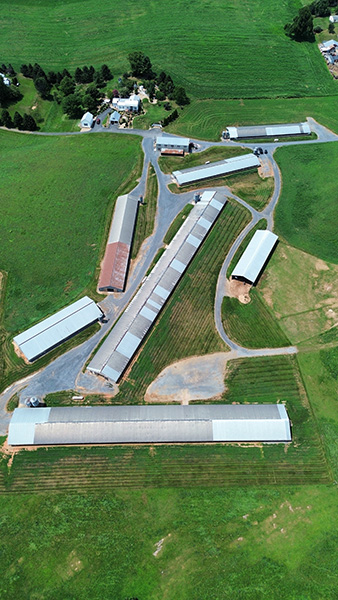 Knicely Farm